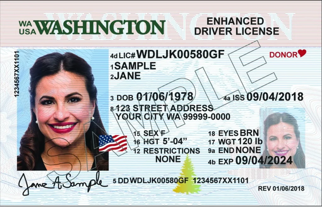 USA Driver’s License